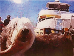 Ollie Old English Sheepdog in front of the ferry to take him back to Tiburon