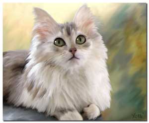 Cat Portrait of   Sophie, a beautiful cat 